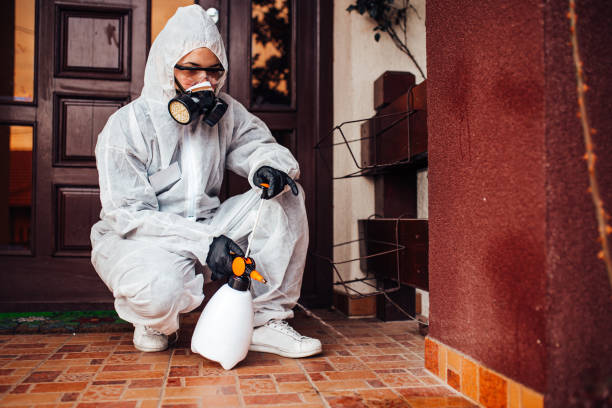 Reliable Bed Bug Control contractor in Carter, TX by Nex Pest Control